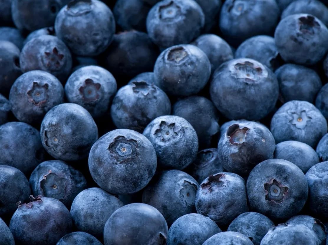 Como se diz mirtilo em inglês? Blueberries