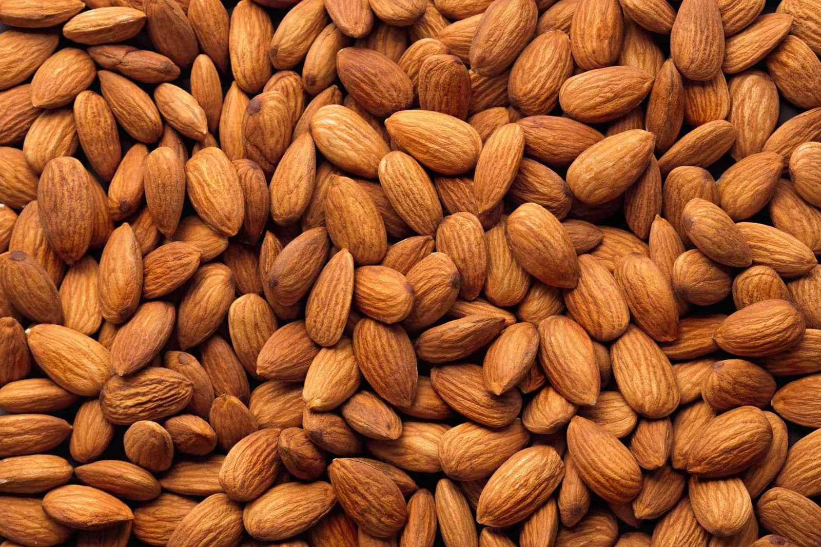 Como se diz Amêndoa em inglês? Almond
