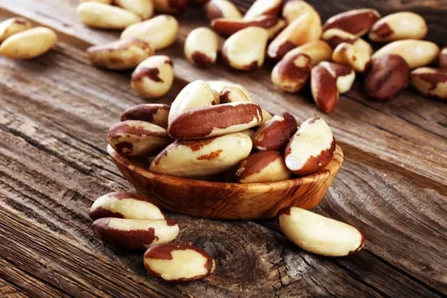 E o que é conhecido como Brazil Nut? Castanha-do-Pará