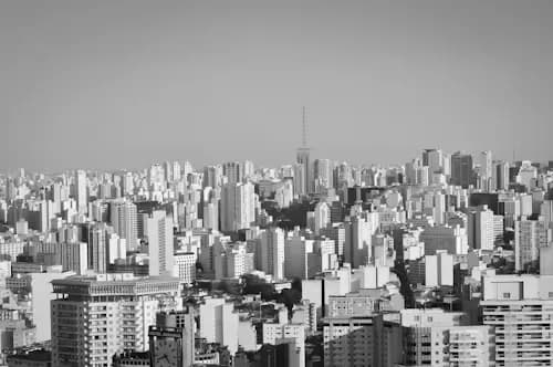 Se você está em Jardins (Jardim Paulista, Jardim Europa, Jardim América), Pinheiros, Vila Madalena, Consolação ou República, a Lingualize é a sua melhor opção para cursos de inglês focados em executivos e profissionais.